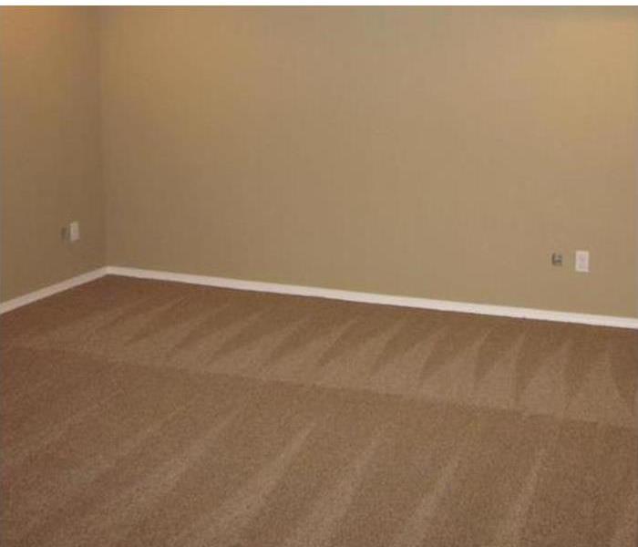 Freshly cleaned carpets with cleaning pattern