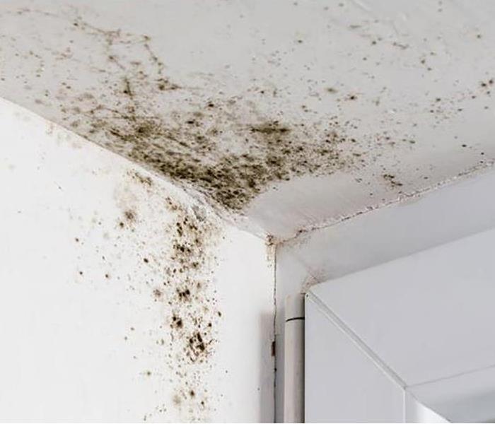 Mold on walls and ceiling inside a house.