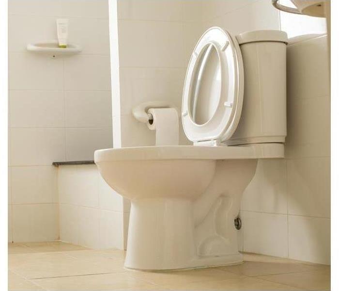 Picture of a white toilet in a bathroom