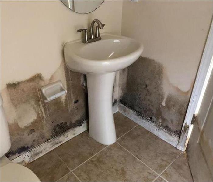 Bathroom sink with mold damage around due to line damage